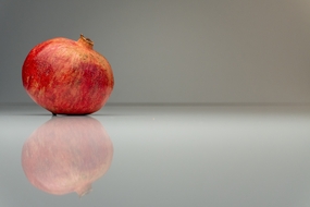 健康有机无籽石榴摄影图片